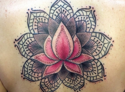 mendi lotus