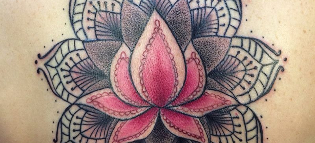 mendi lotus